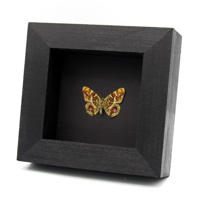 Real purple Map butterfly framed taxidermy - Araschnia burejana